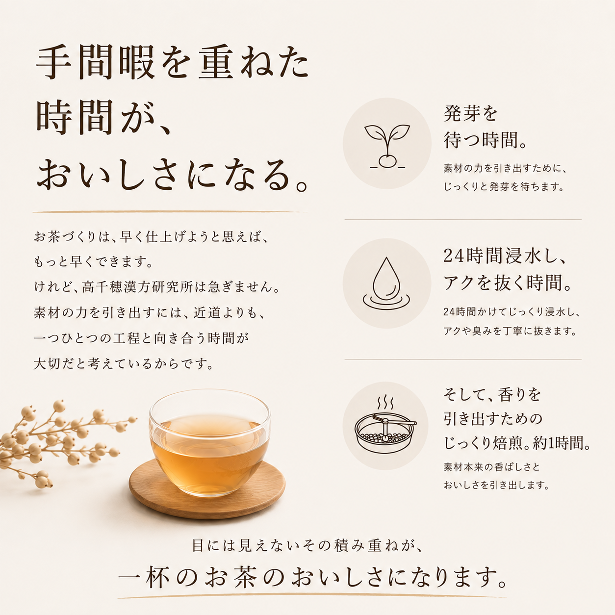 ＜送料無料+お試し価格＞黒豆はとむぎ茶 +発芽はとむぎ茶 各1pack(120g) ノンカフェイン