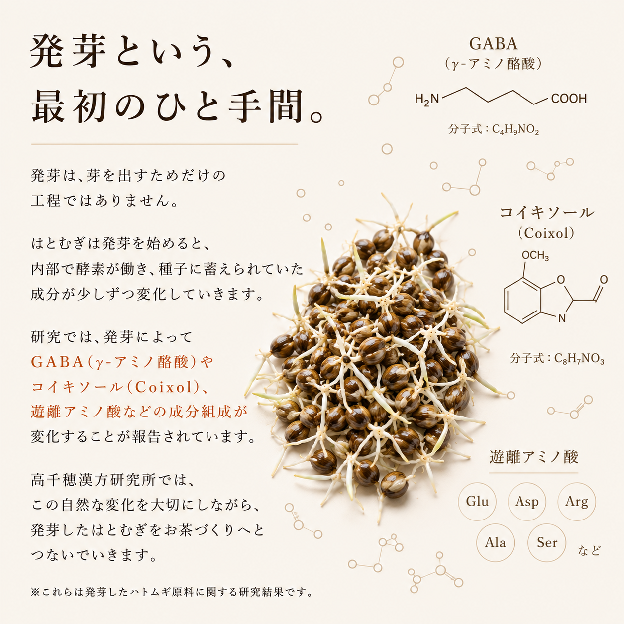 ＜送料無料+お試し価格＞黒豆はとむぎ茶 +発芽はとむぎ茶 各1pack(120g) ノンカフェイン